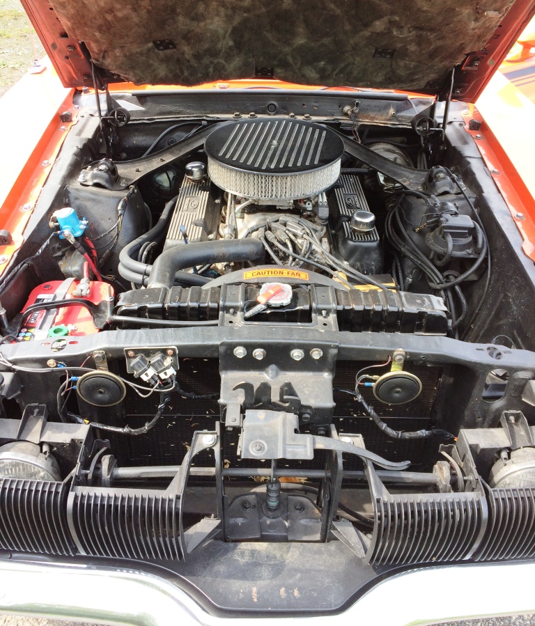 Cougar 1970 56