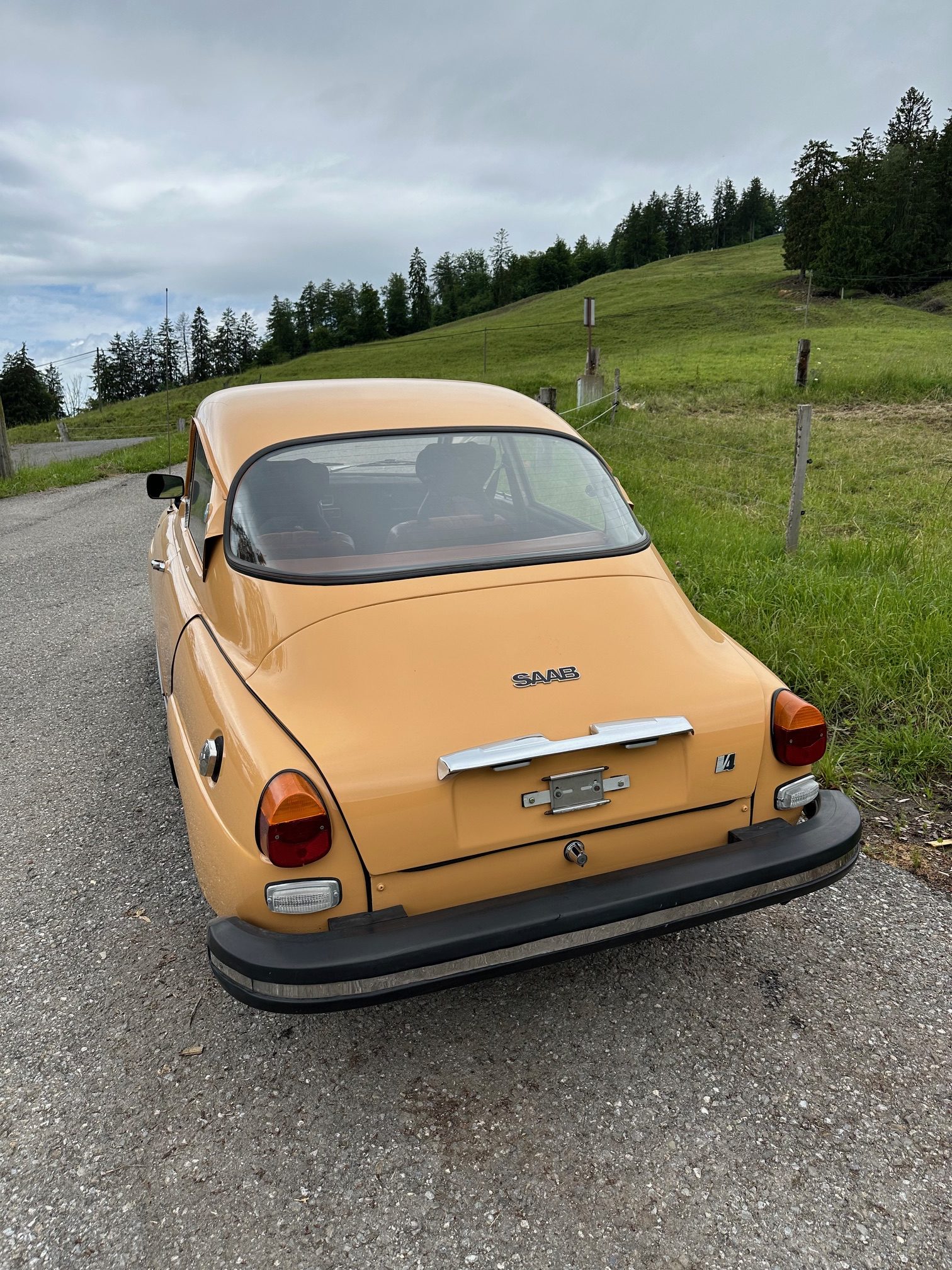 image1 (1)